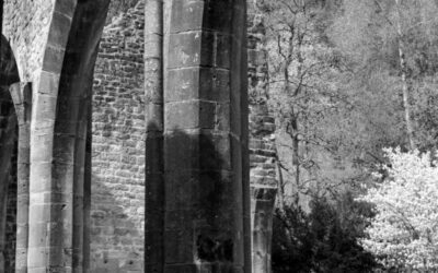 Arbeitgeber insolvent. Wann kann die Abfindung für den Verlust eines Arbeitsplatzes vom Verwalter verlangt werden?