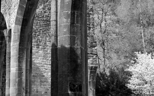 Arbeitgeber insolvent. Wann kann die Abfindung für den Verlust eines Arbeitsplatzes vom Verwalter verlangt werden?